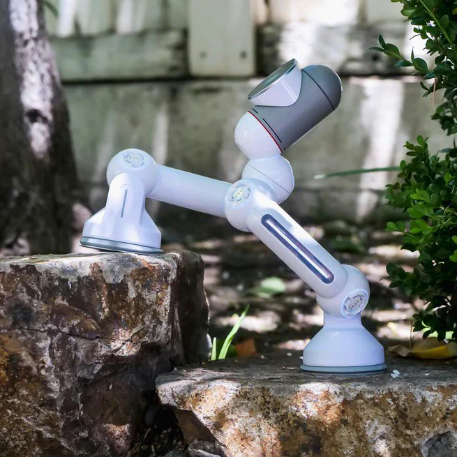 🤖 Machine Learning