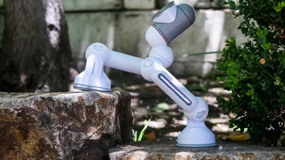 🤖 Machine Learning